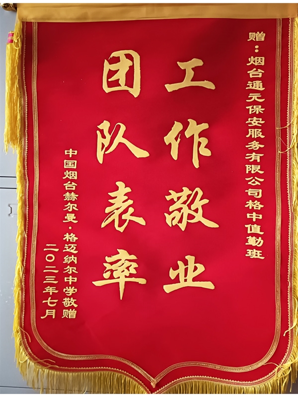 团队表率